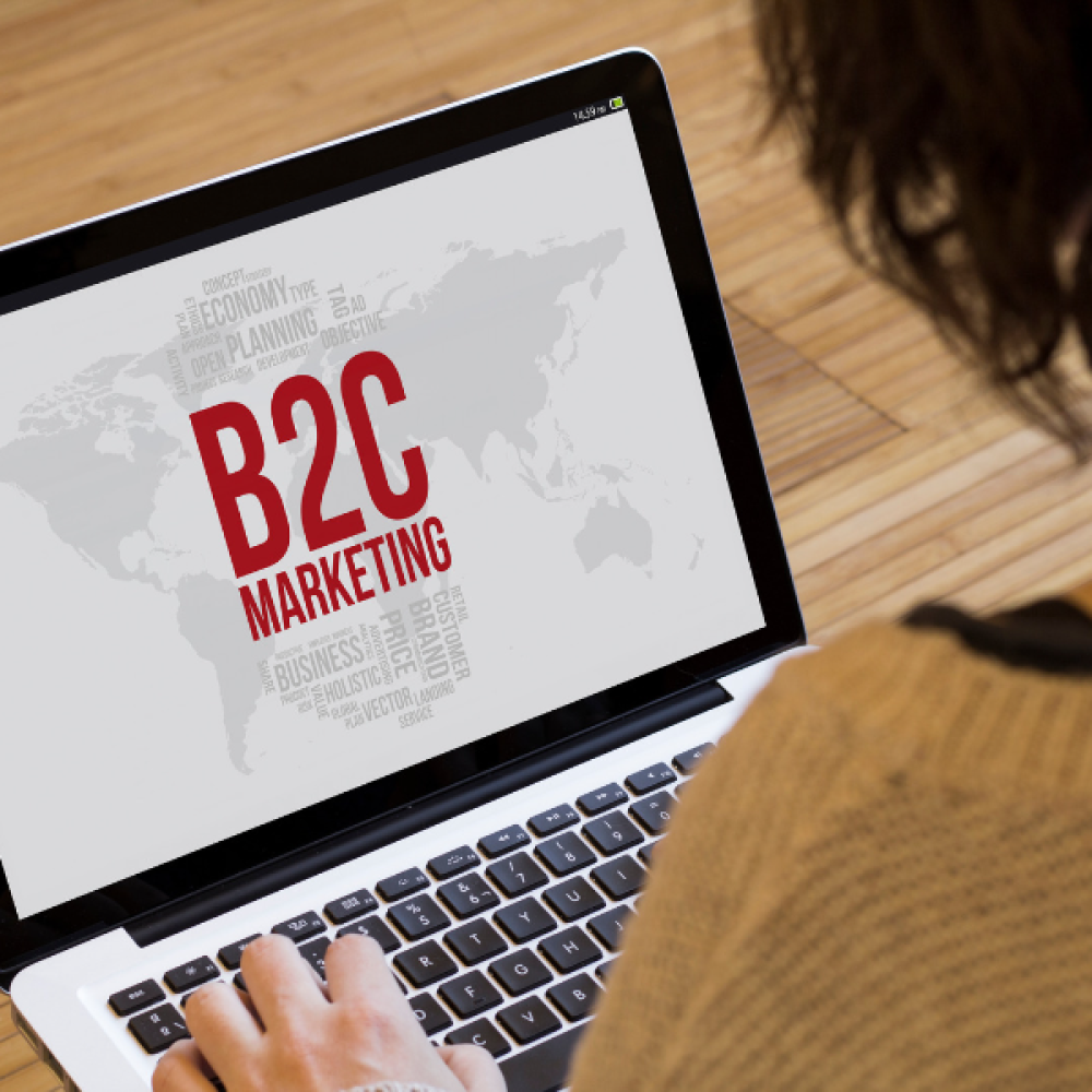 b2c b2c